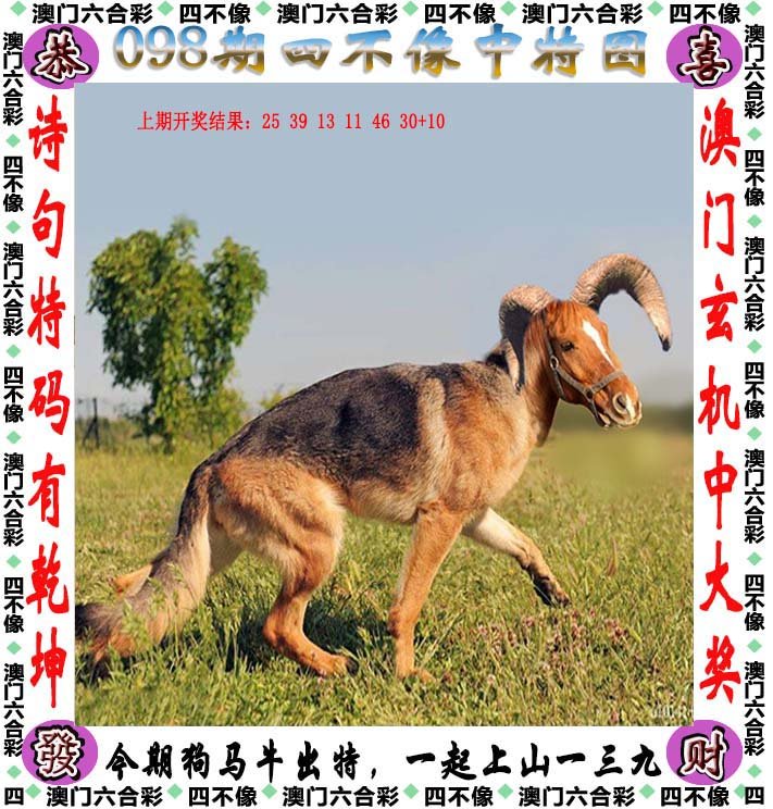 新澳门最精准四不像正版与2025澳门特马网站www全面释义、解释与落实